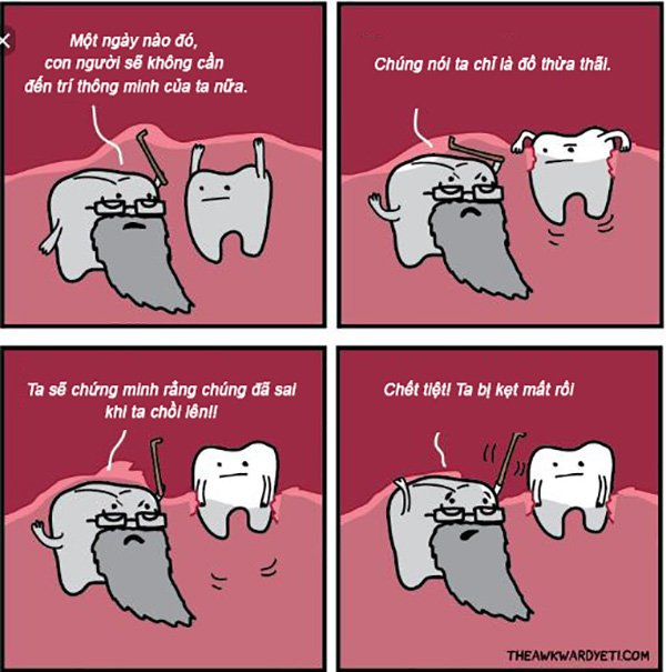Vì sao lại gọi là răng khôn? 3