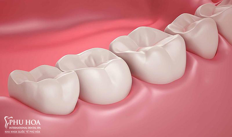 1. Đặc điểm và chức năng của răng hàm 1